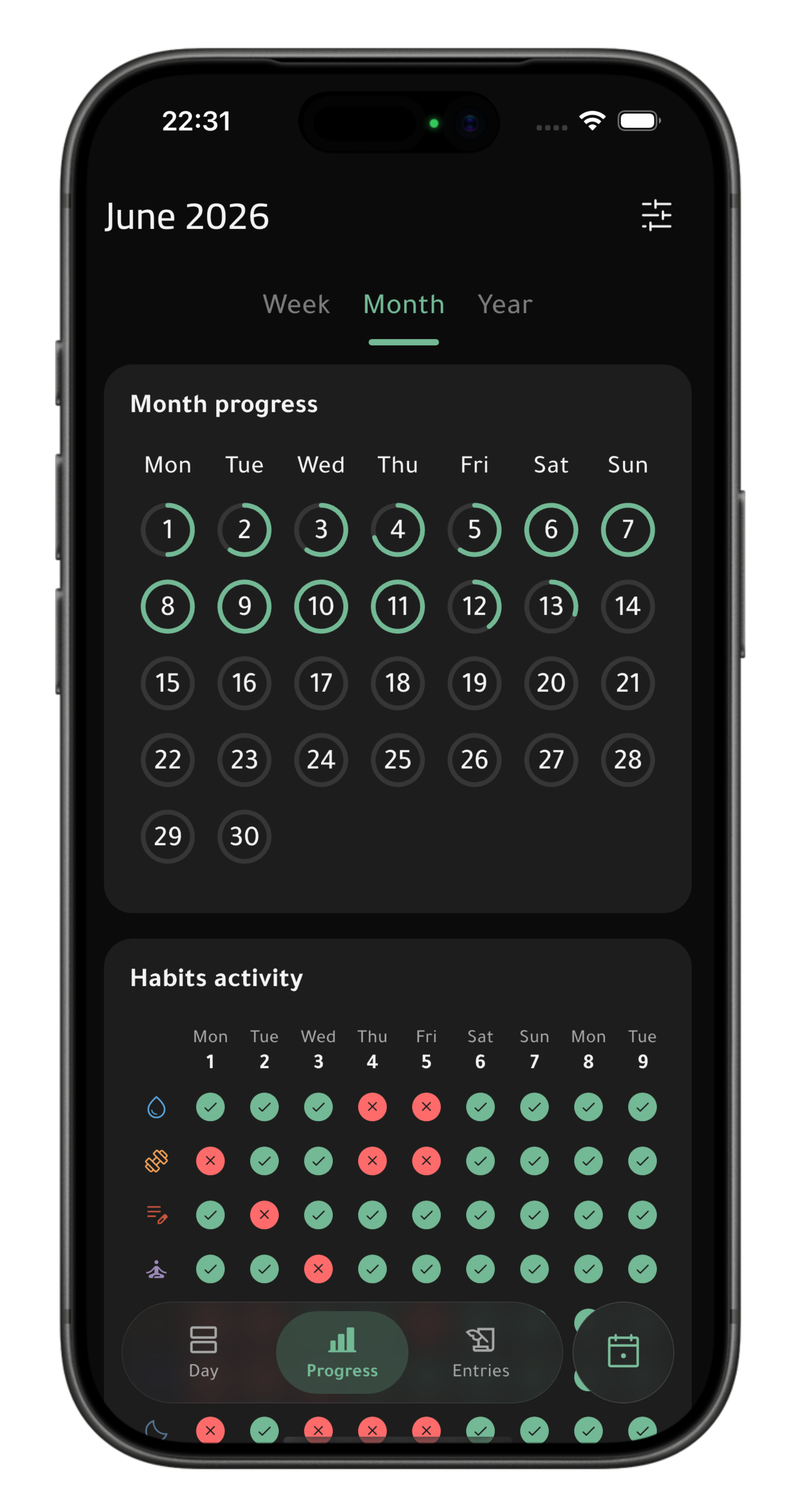 Habitsium monthly progress view showing activity calendars and habit completion.